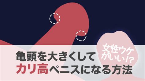 亀頭 鍛える|【泌尿器科の医師が解説】亀頭を大きくする4つの方。